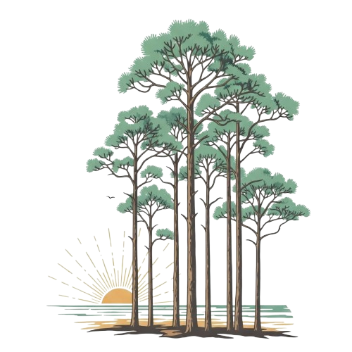 The Village at Grayton Beach emblem