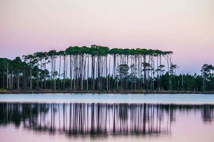 Coastal dune lake at sunset in Grayton Beach